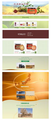 蓯新開始 打造專業養生產品網站，開啟健康產業新篇章